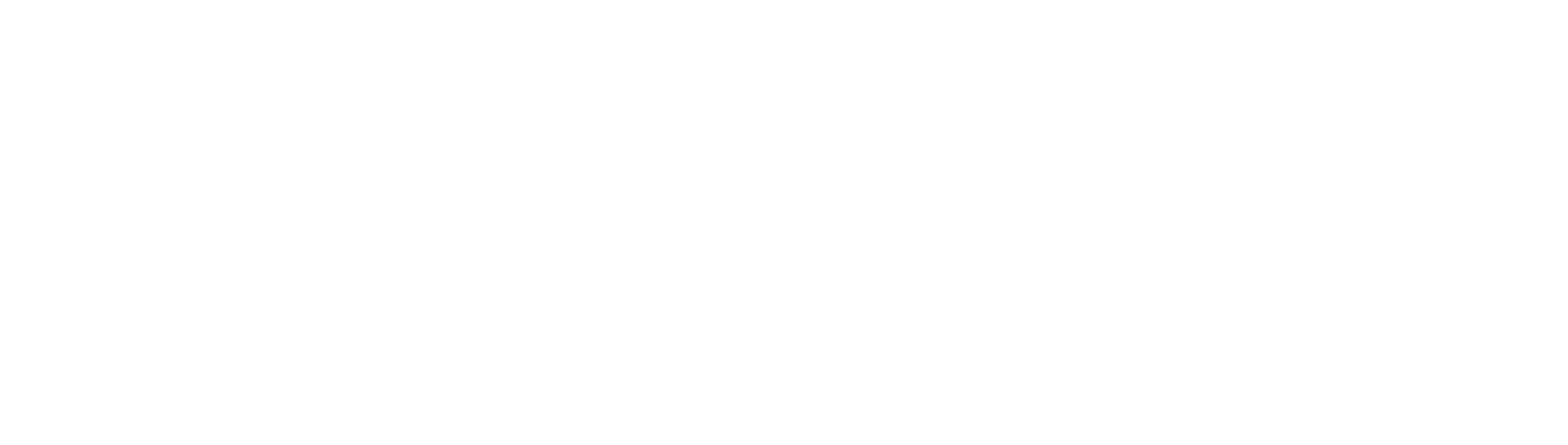 Newcastle logo